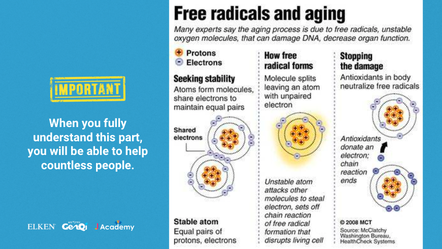 free radical donated